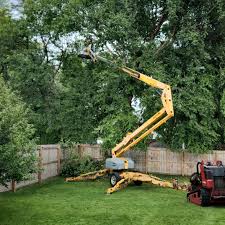 Best Tree Mulching  in Innsbrook, VA